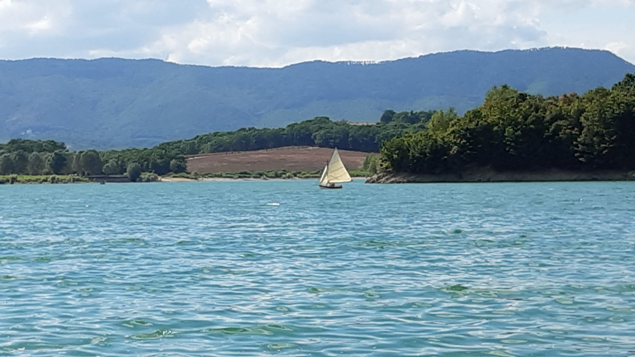 GIORNATA PER LA CUSTODIA DEL CREATO Suore Francescane Minime del
